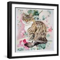 Long Hair Tabby-Anne Robinson-Framed Giclee Print