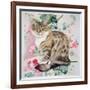 Long Hair Tabby-Anne Robinson-Framed Giclee Print