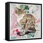 Long Hair Tabby-Anne Robinson-Framed Stretched Canvas