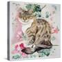 Long Hair Tabby-Anne Robinson-Stretched Canvas