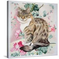 Long Hair Tabby-Anne Robinson-Stretched Canvas