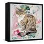 Long Hair Tabby-Anne Robinson-Framed Stretched Canvas