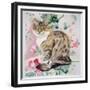 Long Hair Tabby-Anne Robinson-Framed Giclee Print