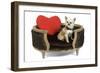 Long-Haired Chihuahua in Studio in Bed-null-Framed Photographic Print