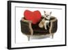 Long-Haired Chihuahua in Studio in Bed-null-Framed Photographic Print