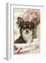 Long Haired Chihuahua Puppy-null-Framed Photographic Print