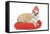 Long-Haired Chihuahua Wearing Knitted Hat-null-Framed Stretched Canvas