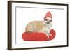 Long-Haired Chihuahua Wearing Knitted Hat-null-Framed Photographic Print