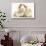 Long-Haired Mother Guinea Pig and Babies-Mark Taylor-Stretched Canvas displayed on a wall