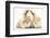 Long-Haired Mother Guinea Pig and Babies-Mark Taylor-Framed Photographic Print