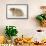 Long-Haired Syrian Hamster-Mark Taylor-Framed Stretched Canvas displayed on a wall