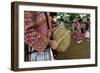 Long Horn Miao Girls in Traditional Costumes Celebrating Flower Dance Festival-Bruno Morandi-Framed Photographic Print