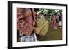 Long Horn Miao Girls in Traditional Costumes Celebrating Flower Dance Festival-Bruno Morandi-Framed Photographic Print