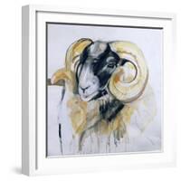 Long Horn Sheep-Lou Gibbs-Framed Giclee Print