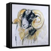 Long Horn Sheep-Lou Gibbs-Framed Stretched Canvas