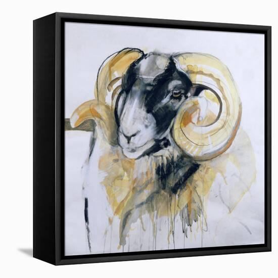 Long Horn Sheep-Lou Gibbs-Framed Stretched Canvas