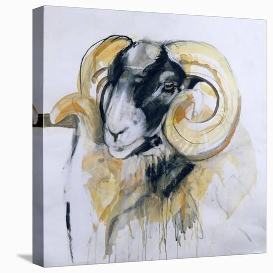 Long Horn Sheep-Lou Gibbs-Stretched Canvas