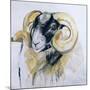 Long Horn Sheep-Lou Gibbs-Mounted Giclee Print