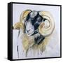 Long Horn Sheep-Lou Gibbs-Framed Stretched Canvas