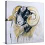 Long Horn Sheep-Lou Gibbs-Stretched Canvas