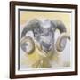 Long Horn Sheep-Lou Gibbs-Framed Giclee Print