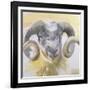 Long Horn Sheep-Lou Gibbs-Framed Giclee Print