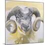 Long Horn Sheep-Lou Gibbs-Mounted Giclee Print