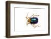 Long Horned Beetle Diastocera Wallichi-Darrell Gulin-Framed Photographic Print