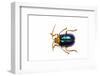 Long Horned Beetle Diastocera Wallichi-Darrell Gulin-Framed Photographic Print