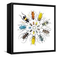 Long Horned Beetle in Circular Pattern-Darrell Gulin-Framed Stretched Canvas