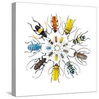 Long Horned Beetle in Circular Pattern-Darrell Gulin-Stretched Canvas