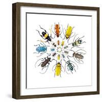 Long Horned Beetle in Circular Pattern-Darrell Gulin-Framed Photographic Print