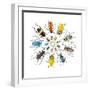 Long Horned Beetle in Circular Pattern-Darrell Gulin-Framed Photographic Print