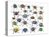 Long Horned Beetles Head on View-Darrell Gulin-Stretched Canvas