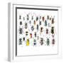 Long Horned Beetles in Design Layout and Size Relationship-Darrell Gulin-Framed Photographic Print