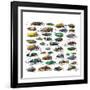 Long Horned Beetles Side View-Darrell Gulin-Framed Photographic Print