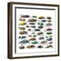 Long Horned Beetles Side View-Darrell Gulin-Framed Photographic Print