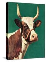 "Long-Horned Cow,"February 1, 1945-F.P. Sherry-Stretched Canvas