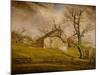 Long Island Farmhouses, 1862-63-William Sidney Mount-Mounted Giclee Print