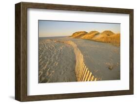 Long Island, New York USA-null-Framed Photographic Print