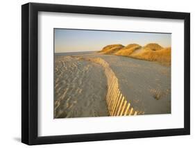 Long Island, New York USA-null-Framed Photographic Print