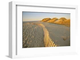 Long Island, New York USA-null-Framed Photographic Print