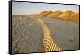 Long Island, New York USA-null-Framed Stretched Canvas