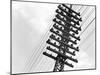 Long Island Railroad Communication Lines-null-Mounted Premium Photographic Print