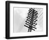 Long Island Railroad Communication Lines-null-Framed Photographic Print