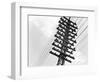 Long Island Railroad Communication Lines-null-Framed Photographic Print