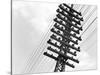 Long Island Railroad Communication Lines-null-Stretched Canvas
