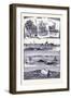 Long Island United States of America-null-Framed Giclee Print