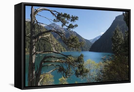 Long Lake, Jiuzhaigou National Park, UNESCO World Heritage Site, Sichuan Province, China, Asia-G & M Therin-Weise-Framed Stretched Canvas