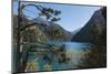 Long Lake, Jiuzhaigou National Park, UNESCO World Heritage Site, Sichuan Province, China, Asia-G & M Therin-Weise-Mounted Photographic Print